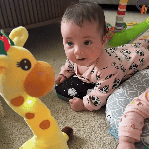Dancing Giraffe Buddy