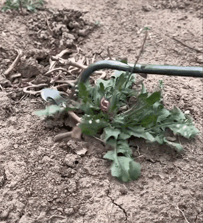 Ultimate Garden Weeder Tool