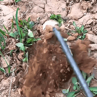 Ultimate Garden Weeder Tool