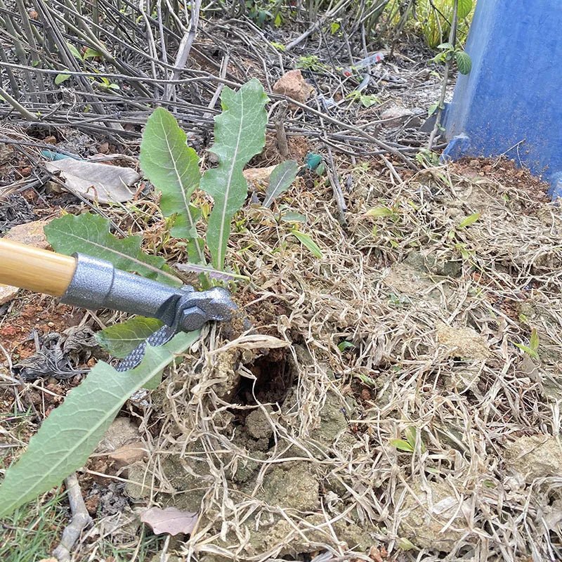 Easy Weeder Claw Tool