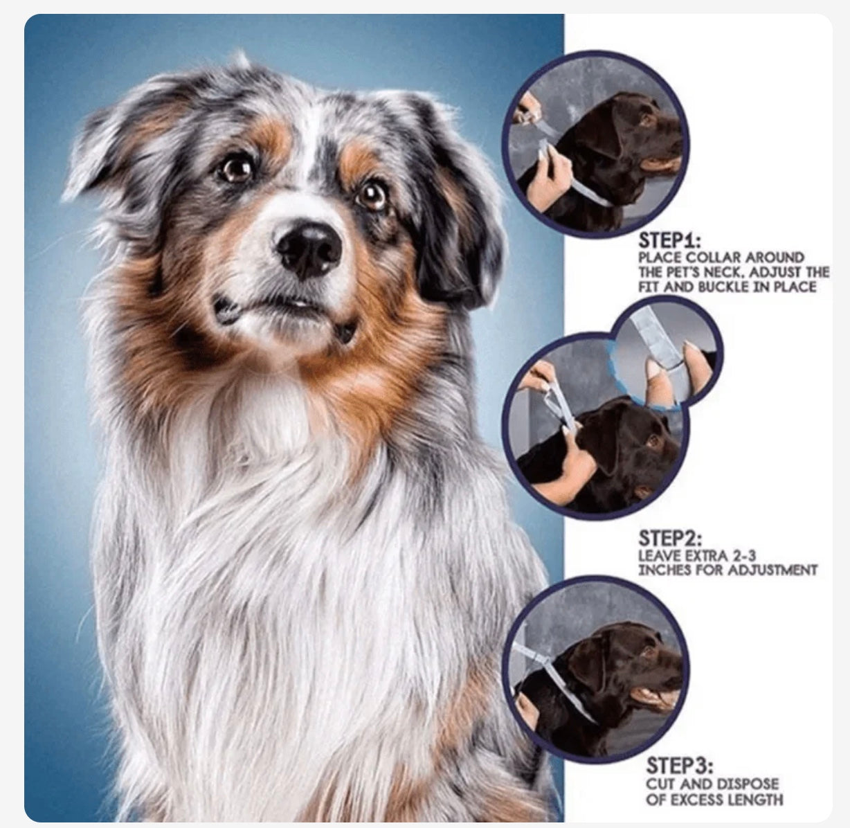 SafeGuard Pets Extended Protection Flea and Tick Collar 6 Image5 21 24at8.47PM