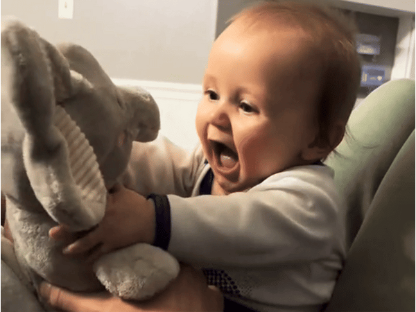 Peekaboo Elephant Plush Toy